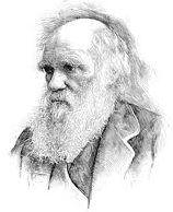ch-darwin.png