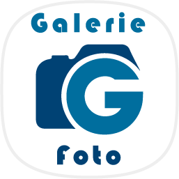 Ico-galeriefoto.fw.png