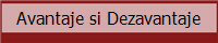 Avantaje si Dezavantaje