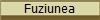 Fuziunea